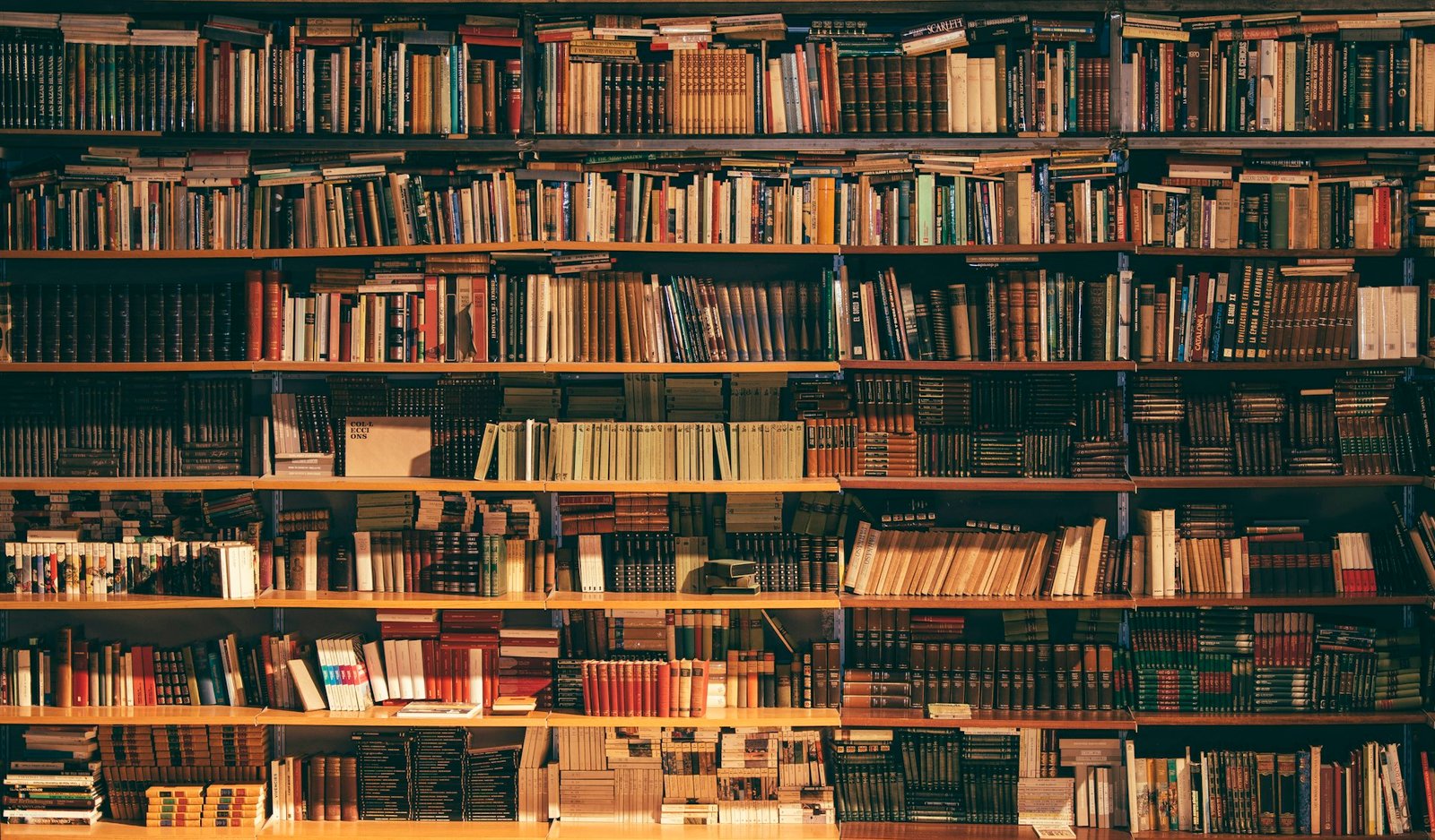 Luxurious bookshelves background